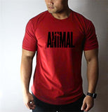 ANIMAL T-shirt